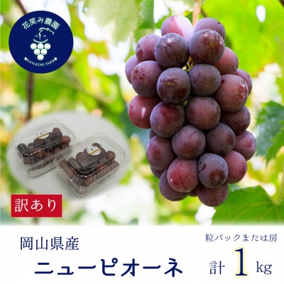 【2026年先行受付】岡山　花笑み農園の 『訳ありニューピオーネ』1kg　WP-1【配送不可地域：離島・北海道・沖縄県】