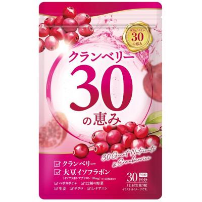 ふるさと納税 直方市 クランベリー30の恵み　2袋セット