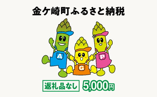 金ケ崎町 ふるさと納税 返礼品なし 【5,000円寄附】