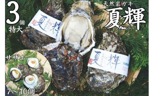 50K.◇夏輝ブランド◇天然岩ガキ〔特大〕･サザエセット〔小〕