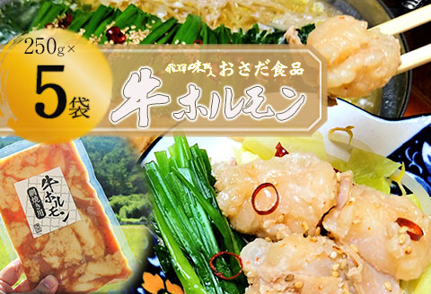 牛ホルモン 網焼き用（250g×5袋）牛肉 ホルモン BBQ 味付け 贈答 ギフト もつ鍋 飛騨 味職人【57-16】