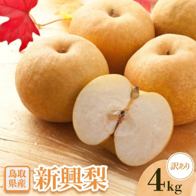 
                  ＜訳あり＞新興梨　4kg【1733723】
                