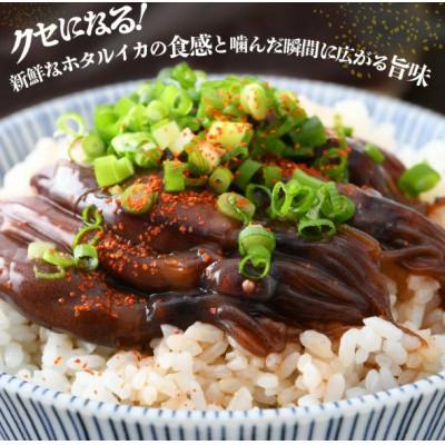 ふるさと納税 越前町 【のし付】ホタルイカ沖漬け　120g×5パック |  | 02
