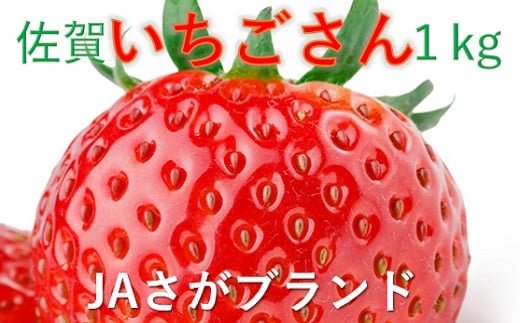 
【2024年12月頃より出荷：佐賀県産いちご】大島さんが育てた「いちごさん」4パック
