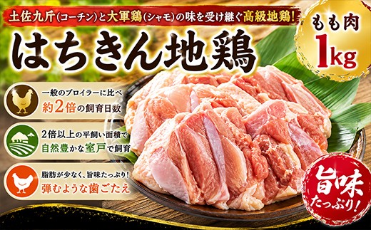 
                  鶏肉 もも肉 はちきん地鶏 1kg 地鶏 モモ肉 鳥肉 とり肉 BBQ バーベキュー 焼肉 焼き肉 鍋 焼鳥 寄せ鍋 水炊き やきとり 低カロリー 高タンパク キャンプ キャンプ飯 冷凍 国産 安心 安全 人気 ランキング 土佐あぐりーど 高知県 室戸市
                