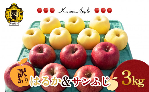 《 先行予約 》訳あり 鹿角 りんご「はるか＆サンふじ」3kg（7～10玉前後）【佐藤秀果園】●2026年12月上旬発送開始 リンゴ 林檎 家庭用 訳あり みずみずしい 果汁 完熟 旬 県産りんご お中元 お歳暮 贈り物 お見舞い グルメ ギフト 故郷 秋田 あきた 鹿角市 鹿角 送料無料