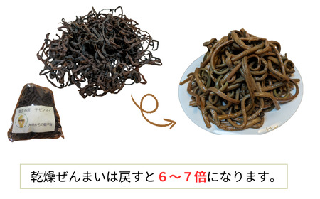 R6年産 中500ｇ 新物干しぜんまい 乾燥ぜんまい 新ぜんまい 山菜の王様「ぜんまい」新潟県 糸魚川市 能生谷産 柔らか美味しい 山菜 凝縮された旨味