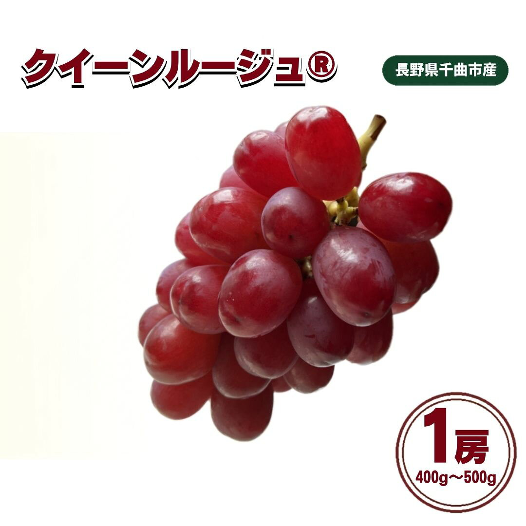 【ふるさと納税】【2027年先行予約】クイーンルージュ®1房 (約400g~約500g)｜赤ぶどう 果物 フルーツ 種なし 皮ごと 信州 特産品 千曲市 長野県産 信州