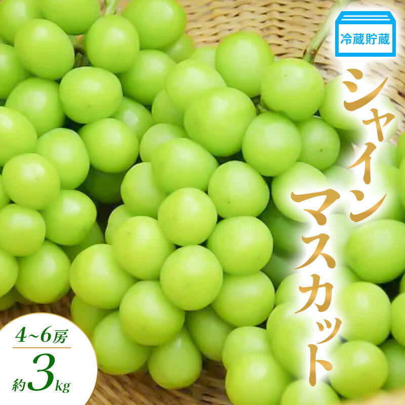 【ふるさと納税】冷蔵貯蔵 シャインマスカット 4～6房 約3kg ぶどう ブドウ 葡萄 マスカット 果物 フルーツ 長野県 長野 山ノ内町　お届け：2025年12月上旬～12月下旬