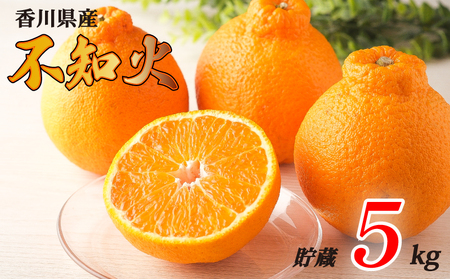 不知火 選べる 約5kg 貯蔵 冷蔵 先行予約 フルーツ 果物 柑橘 しらぬい みかん ふるさと納税みかん 香川県 丸亀市 ｼﾗﾇｲ ｼﾗﾇｲ ｼﾗﾇｲ 【goshiki039】
