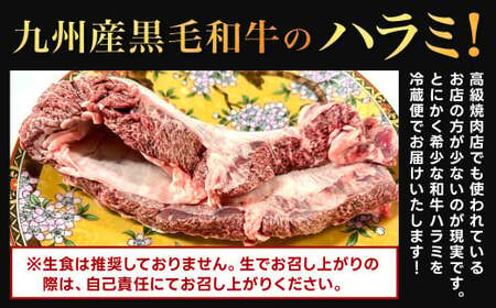 幻のハラミ これが和牛のハラミ（横隔膜）です 黒毛和牛 和牛 ハラミ 上ハラミ 肉 お肉 高級 サシ 焼肉 BBQ 希少 新鮮 国産 九州産 冷蔵【2025年1月上旬～2月下旬発送予定】