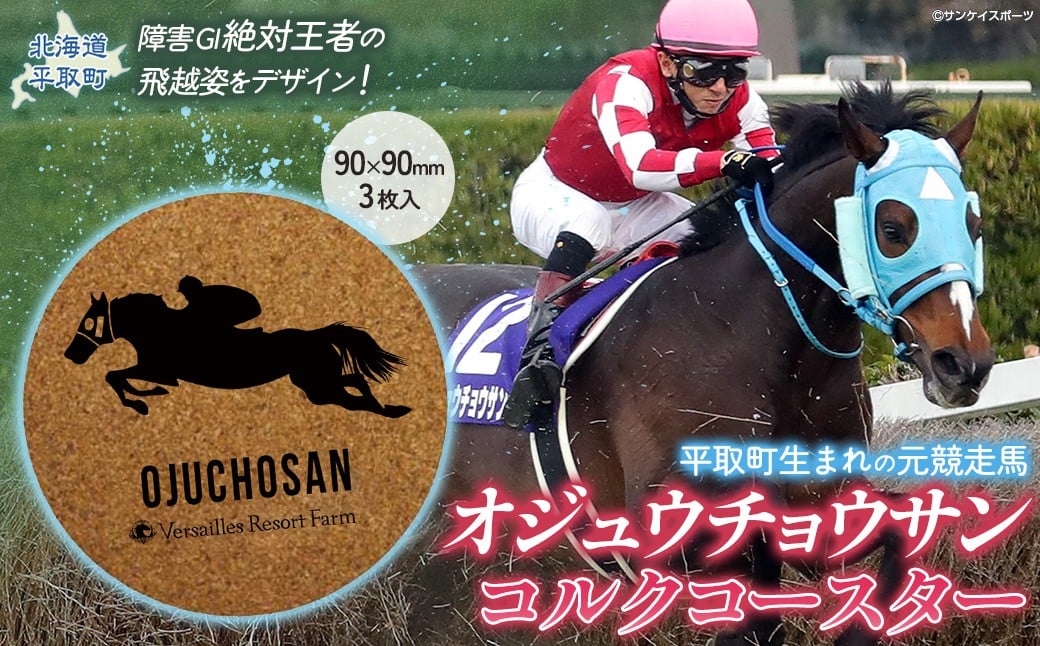
            【オジュウチョウサン】コルクコースター3枚入り【ふるさと納税 人気 おすすめ ランキング 馬 競馬 競走馬 オジュウチョウサン 北海道 平取町 送料無料】 BRTV020
          