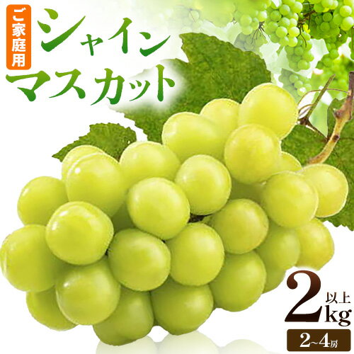 【ふるさと納税】ぶどう シャインマスカット ご家庭用 晴れの国からの贈り物 シャインマスカット 2kg 以上 2房 ～ 4房《9月上旬-10月中旬頃出荷》 東山農園 ブドウ 葡萄 マスカット 果物 フルーツ ギフト 岡山県 笠岡市