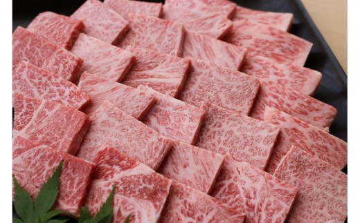 
                  博多和牛　焼肉詰合せ(450g)
                