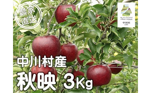 担当者おすすめ「味覚の里なかがわ」の旬のくだもの（秋映３Kg箱）10月上旬発送予定