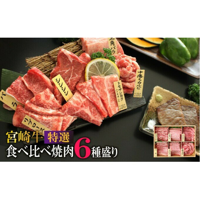 【ふるさと納税】宮崎牛 特選 食べ比べ6点盛り 合計600g ※配送不可：一部離島 肉 お肉 牛肉 黒毛和牛 A4 A5 焼肉 セット 3～4人前 バーベキュー 宮崎県産 産地直送 冷凍 　お届け：※お届けに2ヶ月程度かかります。