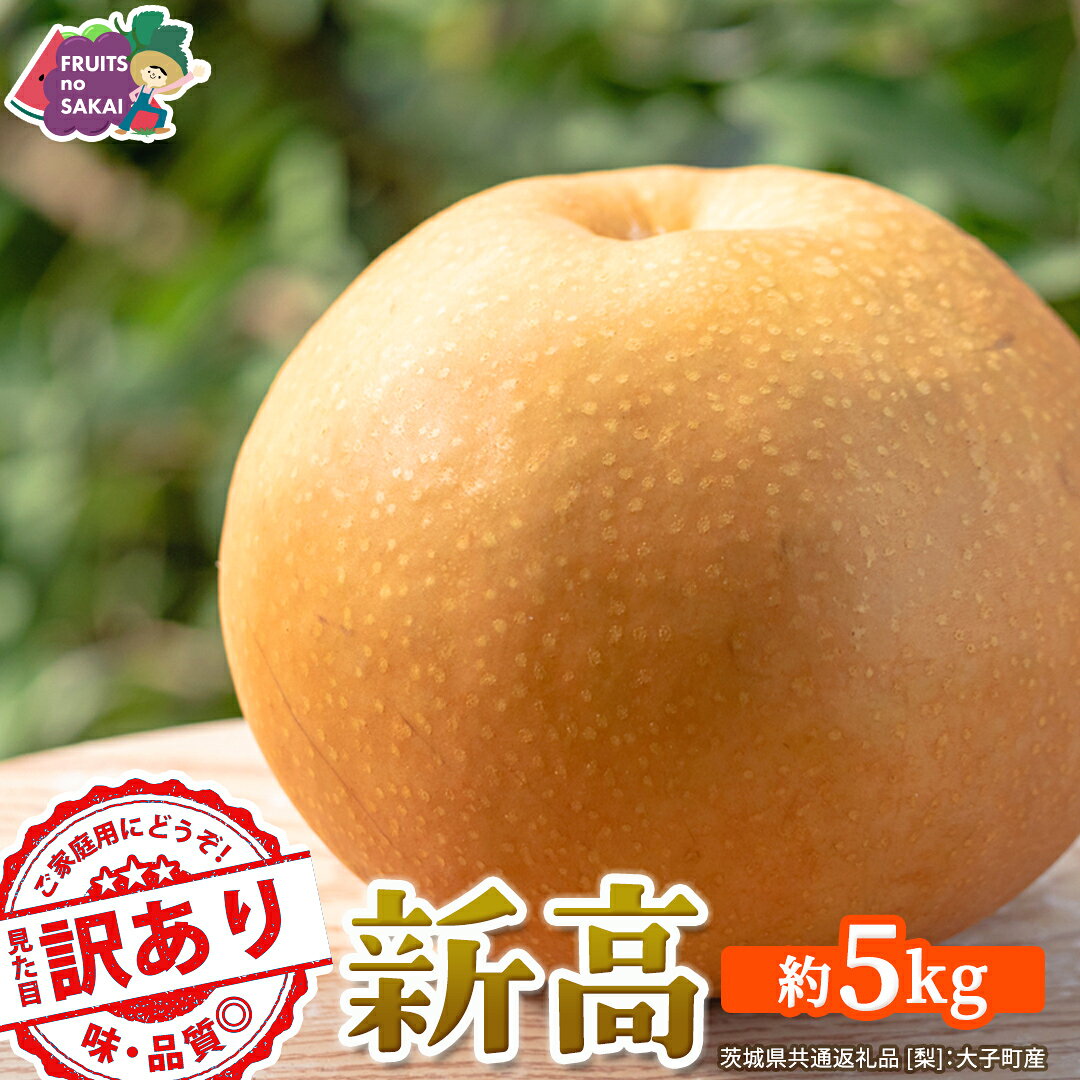 【ふるさと納税】 ＜ 訳あり ＞ 新高 約5kg 【2026年10月より発送開始】（茨城県共通返礼品 [梨]：大子町産） ご家庭用 フルーツ なし ナシ 和梨 梨 わけあり 果実 旬のフルーツ お取り寄せ くだもの 果物 みずみずしい
