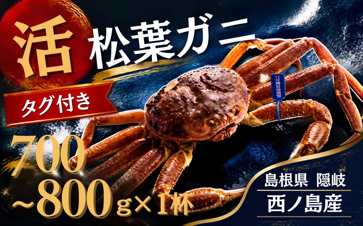 【先行販売】【ふるさと納税】松葉ガニ〈活〉松葉ガニ マツバガニ タグ付き＜11月中旬～2月中旬頃発送予定＞＜選べる容量＞700g~800g 1杯～3杯