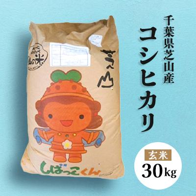 ふるさと納税 芝山町 【令和7年産】芝山町産コシヒカリ30kg(玄米)