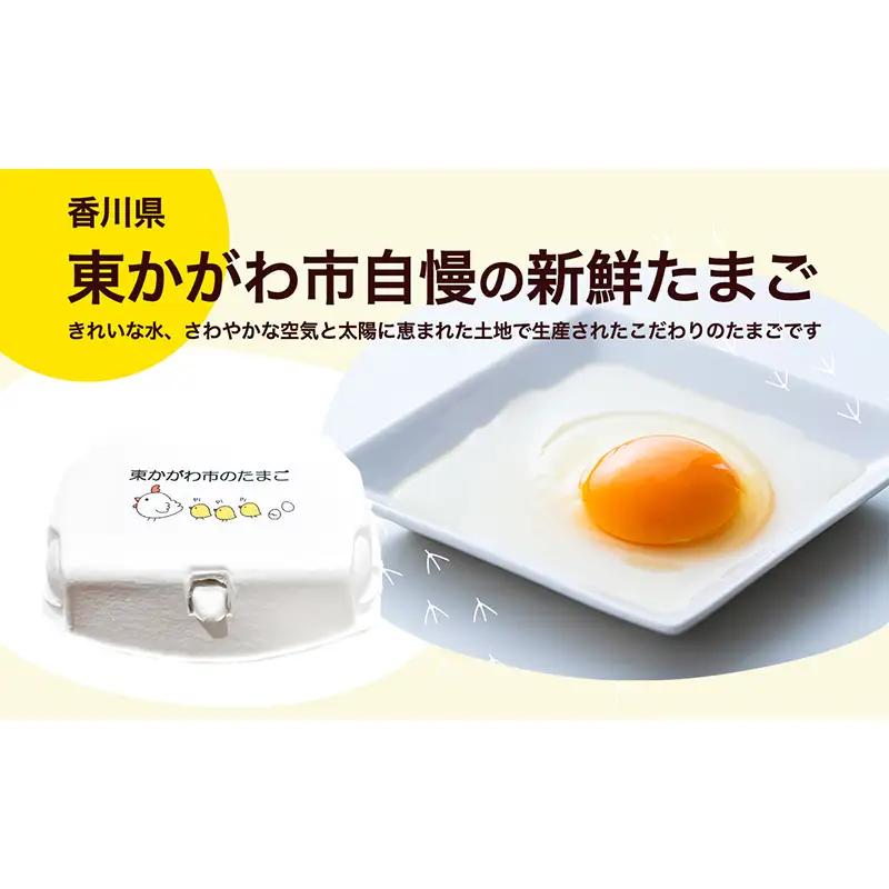 東かがわ市のたまごと焼きドーナツのセット「鶏卵Mサイズ（6個×2P）焼きドーナツ10個」 たまご 卵 鶏卵 ドーナツ 焼き菓子 セット