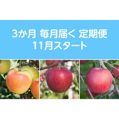 【ふるさと納税】【発送月固定定期便】〈2025年11月より順次発送〉甘味系・青森県産りんご約3kg全3回【配送不可地域：離島・沖縄県】【4068085】