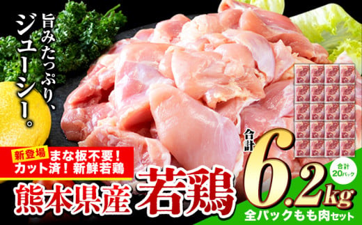鶏肉 小分け 鶏肉 もも モモ カット済 若鶏 6.2kg《3-7日以内に出荷予定(土日祝除く)》