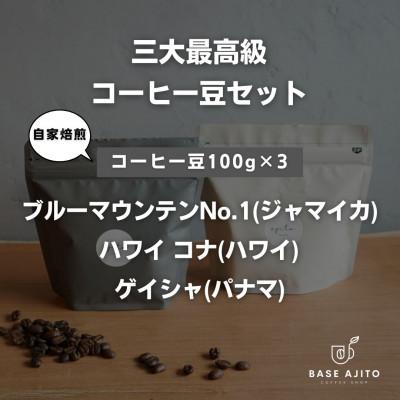 ふるさと納税 丹波篠山市 三大最高級コーヒー豆セット パナマ ゲイシャ/ジャマイカ ブルーマウンテン/ハワイ コナ(豆)
