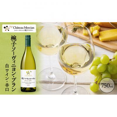 ふるさと納税 上田市 椀子ソーヴィニヨン・ブラン 750ml シャトー・メルシャン ソーヴィニヨン 白[54040414]