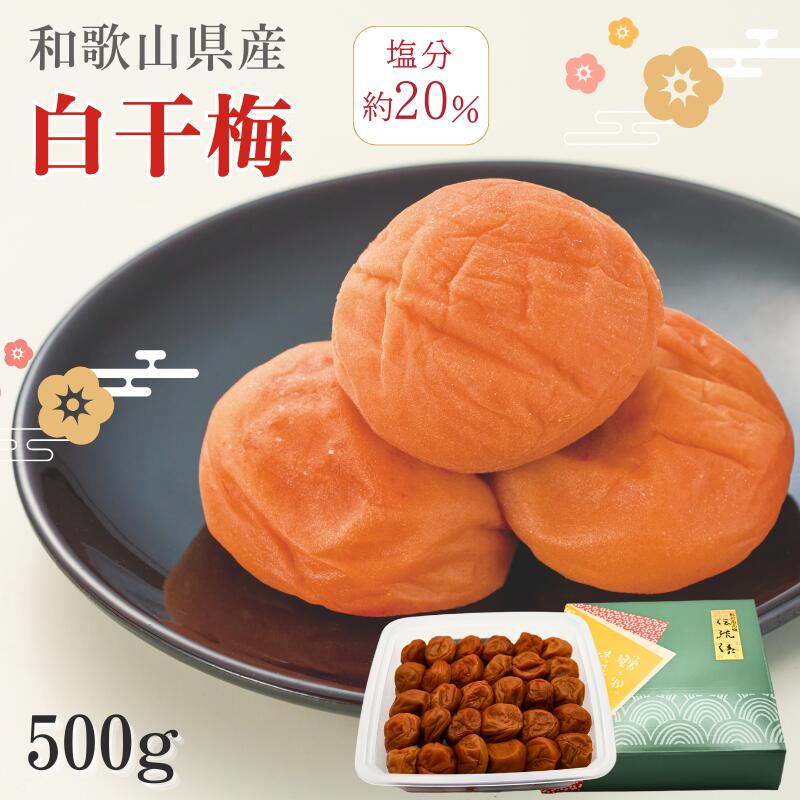 【ふるさと納税】白干梅 | 梅干し 梅干 梅 うめ ウメ 紀州南高梅 南高梅 昔ながらのすっぱい梅干し