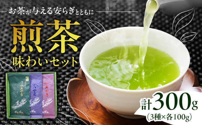 
            亀山茶・深蒸し煎茶・煎茶味わいセット / 茶 ちゃ お茶 おちゃ 緑茶 りょくちゃ 日本茶 茶葉 煎茶 セット / 亀山市 / 三重茶農業協同組合[AMAG006]
          