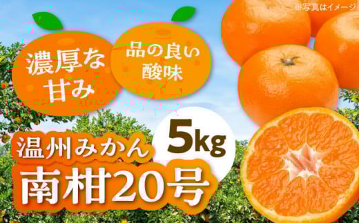 【先行予約】【12月上旬より順次発送】温州みかん 南柑20号 5㎏ 【まごころ手選り手詰め】愛媛県大洲市/カームシトラス[AGBW001] 果物 フルーツ みかん ミカン 温州みかん 愛媛 みかん 5kg