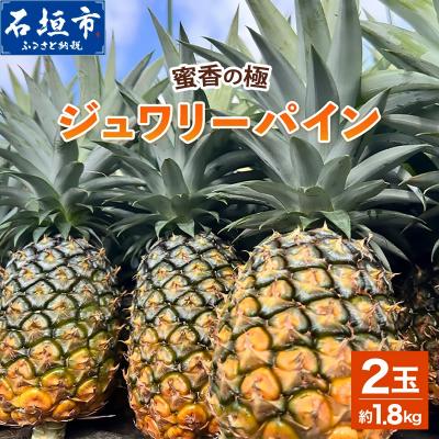 ふるさと納税 石垣市 《2027年6月以降順次発送》蜜香の極 ジュワリーパイン 2玉 約1.8kg
