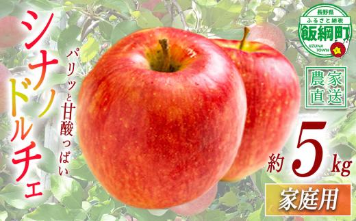 りんご シナノドルチェ 家庭用 5kg 丸山功農園 沖縄県への配送不可 2026年9月上旬頃から2026年9月下旬頃まで順次発送予定 令和8年度収穫分 信州 果物 フルーツ リンゴ 林檎 長野 予約 農家直送 長野県 飯綱町 [1171]