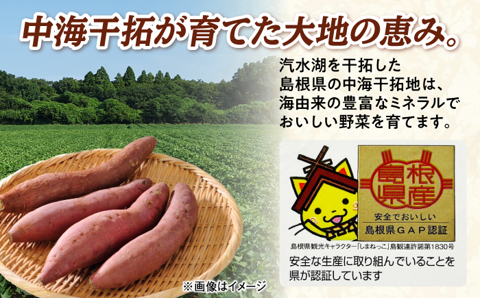 【先行予約】【2026年11月上旬順次発送】【訳あり】島根県GAP認証　さつまいも（シルクスイート）2kg　島根県松江市/フジキコーポレーション株式会社 [ALDS027]