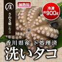 【ふるさと納税】香川県産　下処理済み・加熱用　冷凍生タコ（さぬき蛸）1杯　約900g　魚貝類・タコ・下処理済み・加熱用・冷凍生タコ・約900g