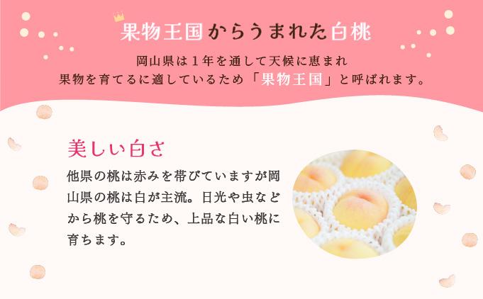 ももこのほっぺ4個入【021-a007】