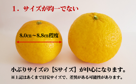 【先行予約 ３月出荷】おわせの甘夏 【訳あり】 4kg 木成り完熟甘夏 甘夏 蜜柑 果物 みかん 雨の恵み 国産 三重 尾鷲 柑橘 特産品 AI-f-6