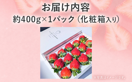 【2026年発送先行予約】プレミアム あまおう EX（化粧箱入り）いちご フルーツ 果物 あまおう 約400g×1パック 苺 イチゴ ギフト 贈答用 贈り物 お祝い 祝い 化粧箱 福岡【発送時期202