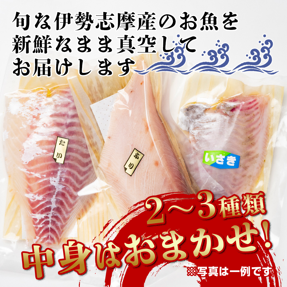 （冷蔵） お刺身 おまかせ セット ２ ～ ３種 約 500ｇ 城水産 朝どれ 刺身 刺し身 鯛 タイ 鰤 ブリ 鮪 マグロ 平昌 ヒラマサ 勘八 カンパチ シマアジ ヒラメ 新鮮 魚介 海鮮 海 産