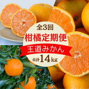 【ふるさと納税】 【2025年分先行予約・数量限定】和歌山の柑橘3回定期便（王道みかん）合計14kg 【期間限定・9/30まで受付】 / みかん ゆら早生 温州みかん ポンカン ぽんかん 柑橘 くだもの 果物 期間限定 和歌山県 田辺市