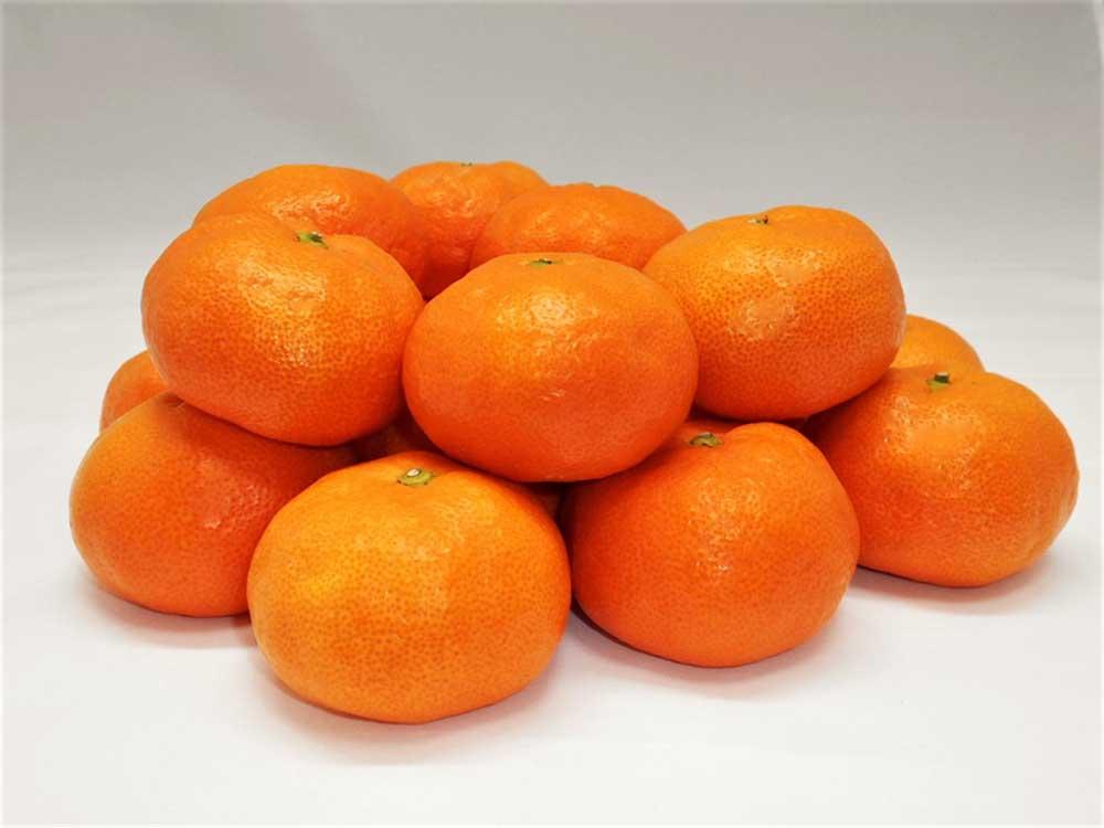 紀州完熟みかん３ｋｇ（２Ｌサイズ）