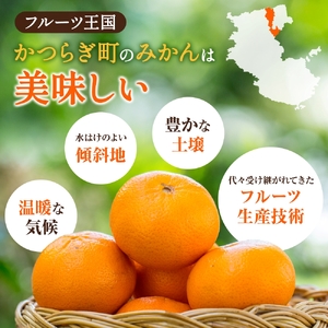 【ふるなびWEEK対象】はれひめ（ミカンの希少種） 秀品  約5ｋｇ（25個～30個入）【2026年12月中旬～2027年2月初旬頃に順次発送予定】【BK003-kgr004A-week】