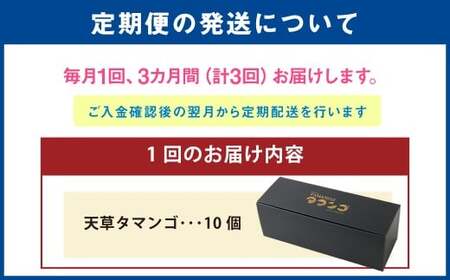 熊本県天草市で生まれたブランド卵「天草タマンゴ」10個入 ／ 化粧箱×3回 計30個 化粧箱入 【3ヶ月連続定期便】 卵 たまご タマゴ 生卵 生たまご 卵黄 卵 定期便 3回 熊本県 天草市 