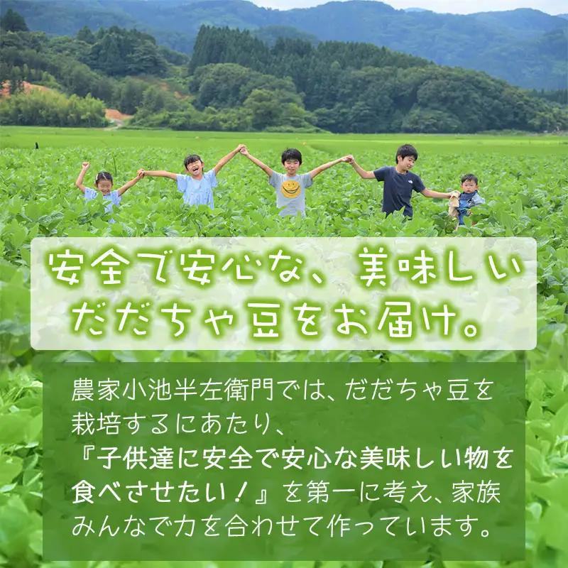 【令和8年産先行予約】朝採りだだちゃ豆 【晩生】1.5kg (500g×3袋) 枝豆　小池半左衛門