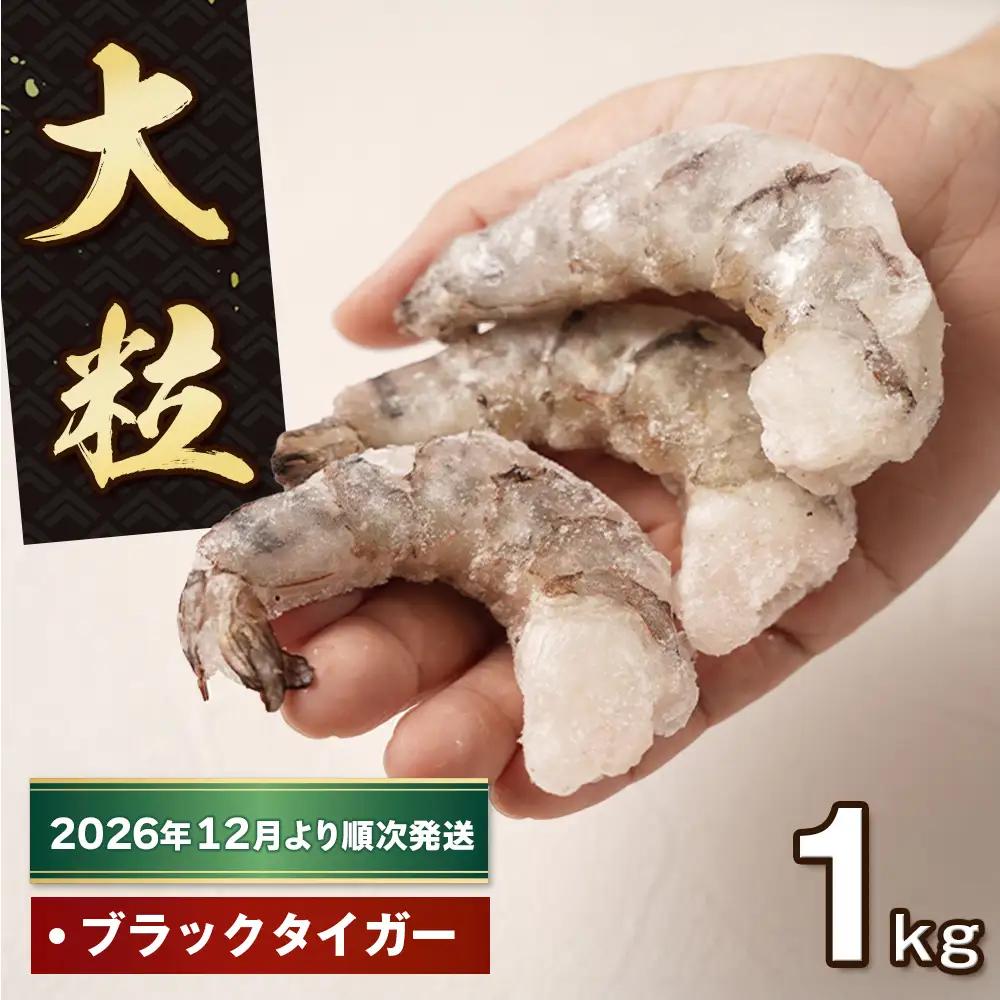 至福の大粒むきえび　背ワタ処理済 1kg【2026年12月より順次発送】　ブラックタイガー 冷凍 ムキエビ  大型 海老