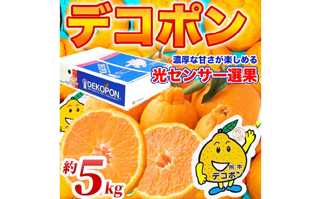 
                  デコポン 12 ～ 24玉 約5kg 柑橘系 柑橘類 柑橘 果物 くだもの フルーツ 果実 果汁 果肉 国産 熊本県産 【 2026年12月上旬から2027年4月上旬発送予定 】
                