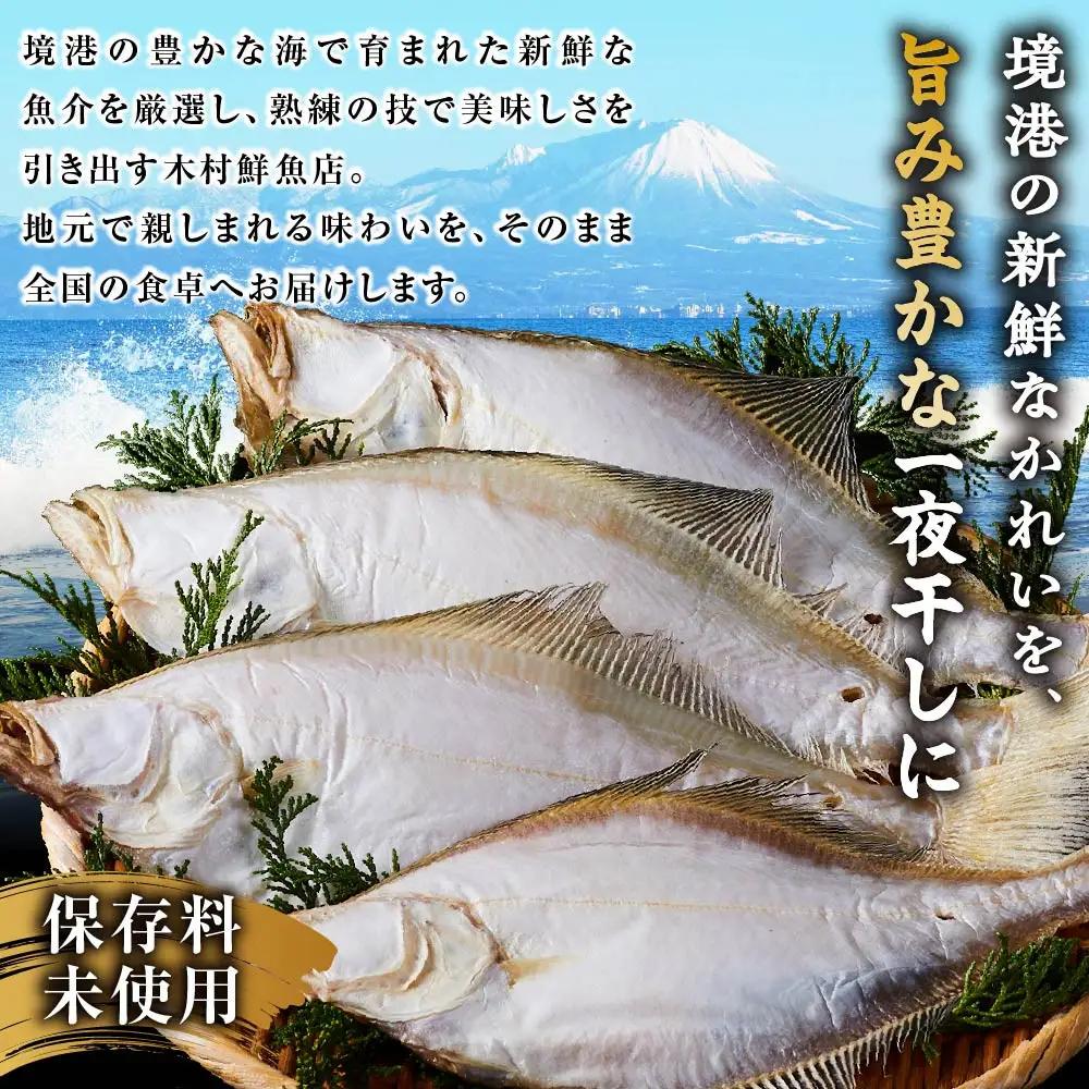 一夜干しかれい 大サイズ！(12枚)【鳥取県 境港市】