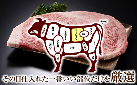 長崎和牛 サーロインステーキ  計500g | 牛肉 ステーキ 国産[QBS014]