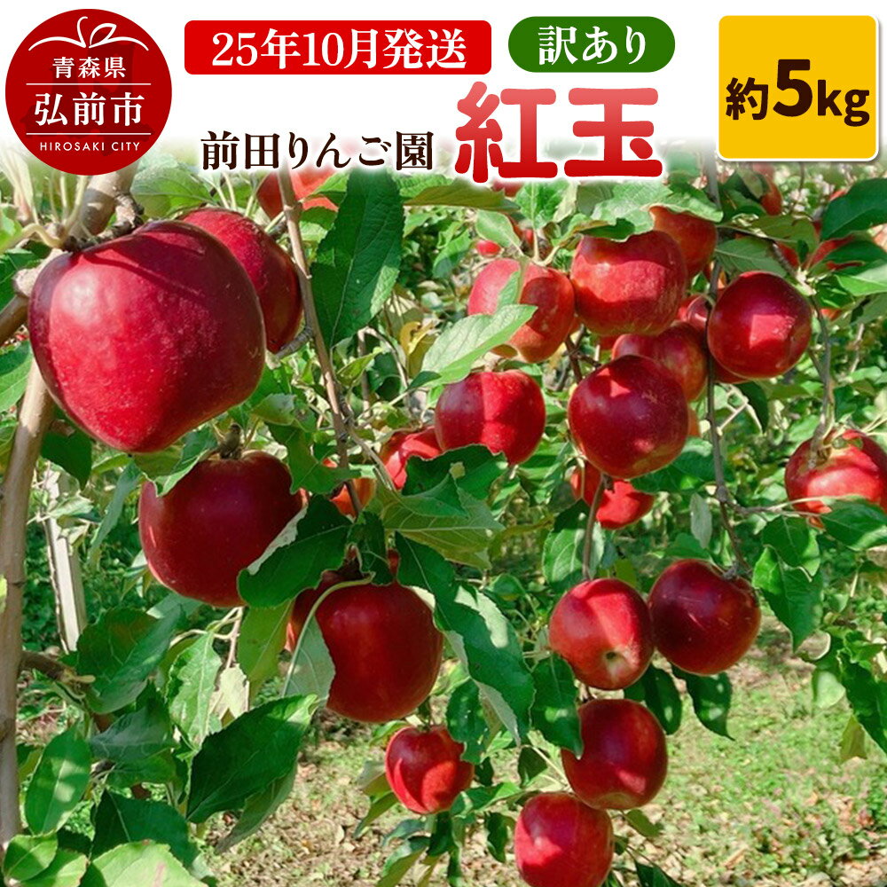 【ふるさと納税】【レビューキャンペーン】【25年10月発送】りんご【訳あり】紅玉 約5kg 前田りんご園