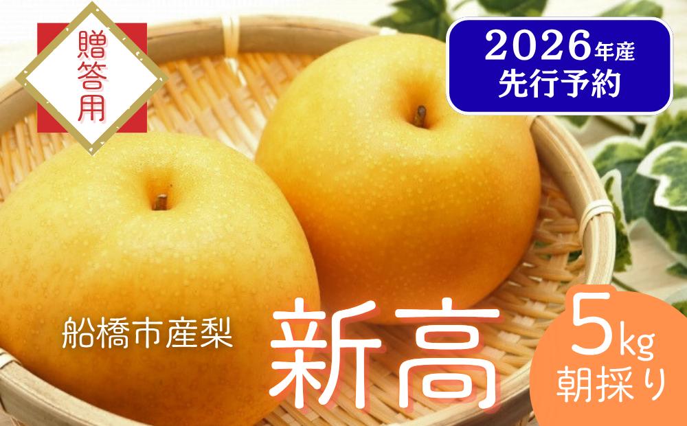 
            【2026年産先行予約】＜贈答用＞果汁たっぷりの極上梨「新高・5kg」6～8玉 千葉県 船橋市産 エコチョク
          